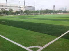 <b>足球场人造草——广东伊之密体育公园顺利完工</b>