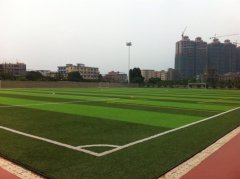 <b>塑胶跑道人造草——广东从化体育中心完工！</b>